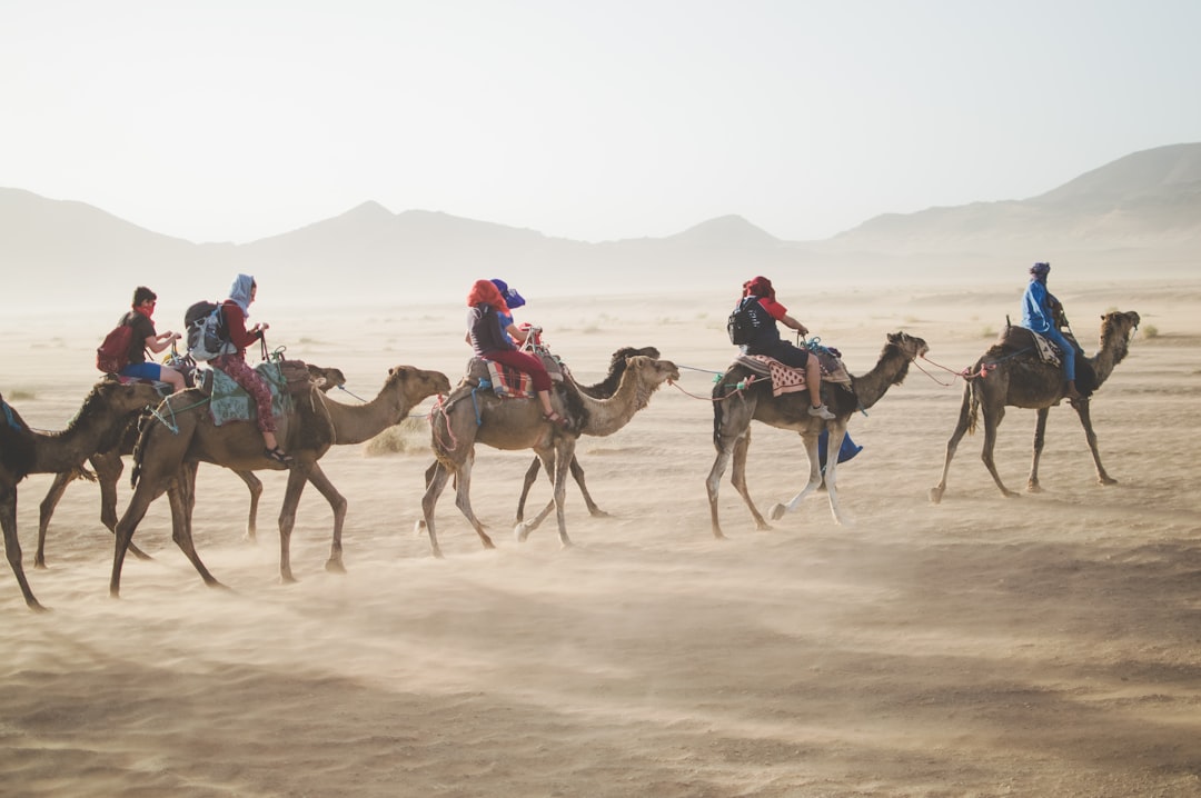 Discovering the Joy of Slow Travel: Embrace the Journey, Not Just the Destination